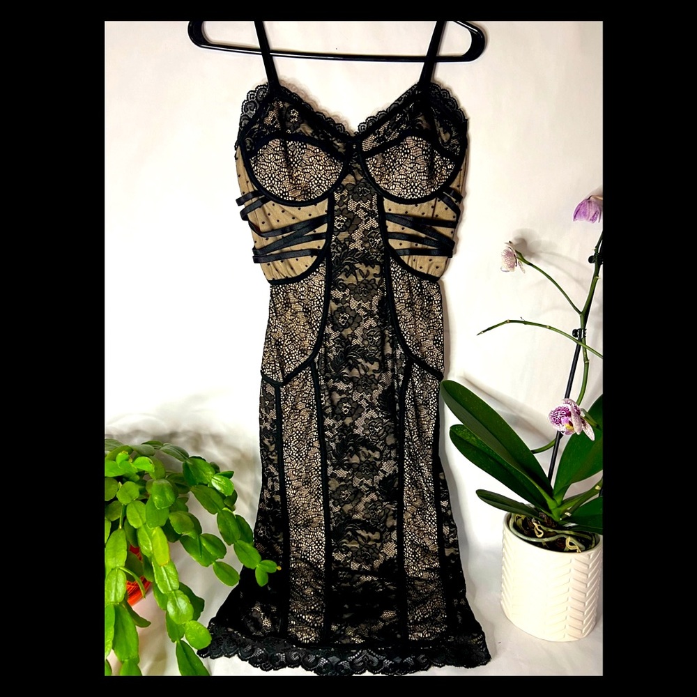 bebe • Mixed Lace • Bodycon Midi Dress